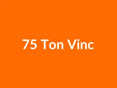 75 Ton Vinç