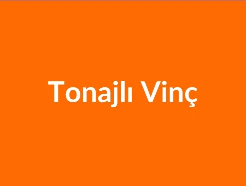 Tonajlı Vinç Kiralama Bursa